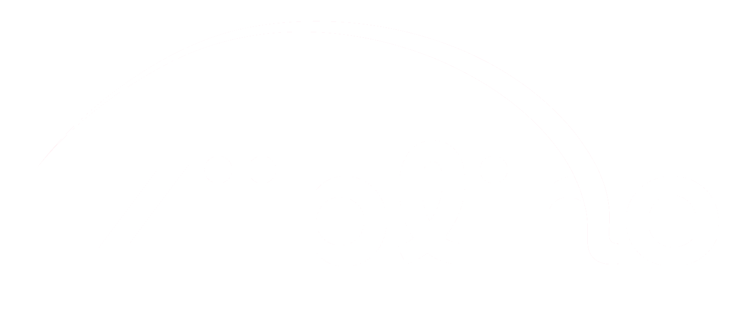 Project Ziipline logo